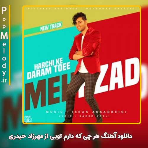 دانلود آهنگ مهرزاد حیدری هر چی که دارم تویی